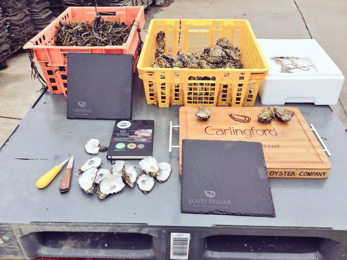 CarlingfordOyst's tweet photo. Thank you @elementdundalk for helping us get #SFFF17 show ready https://t.co/UrdPRgOEIo