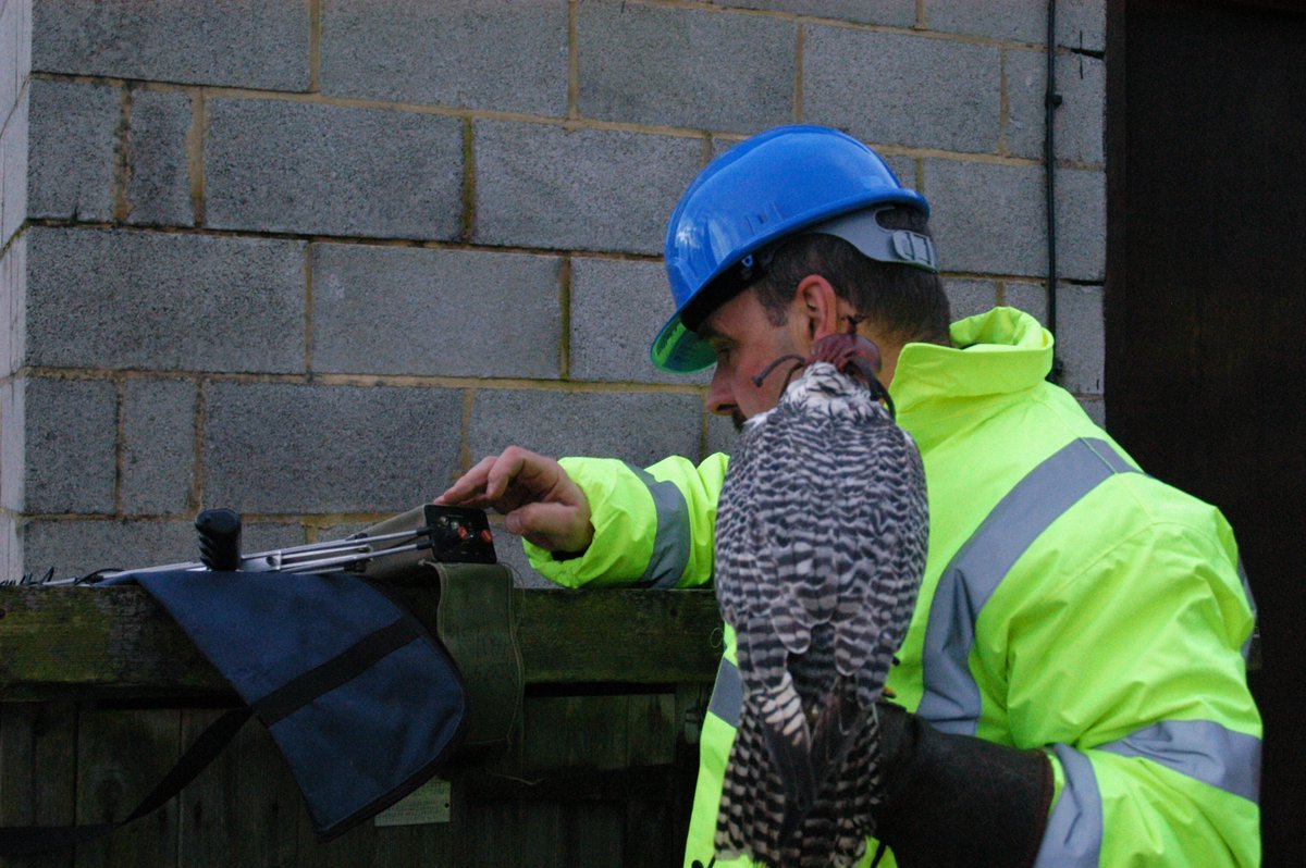 As one of the UK’s leading #birdcontrol specialists, we can provide effective solutions for #YourBusiness against #PestBirds #Pigeon #Gulls