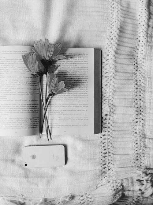 Cada dia se torna mais importante determinar o que e quem tomará seu espaço na vida, com a vida e através da vida. 
#BetaQuerLab