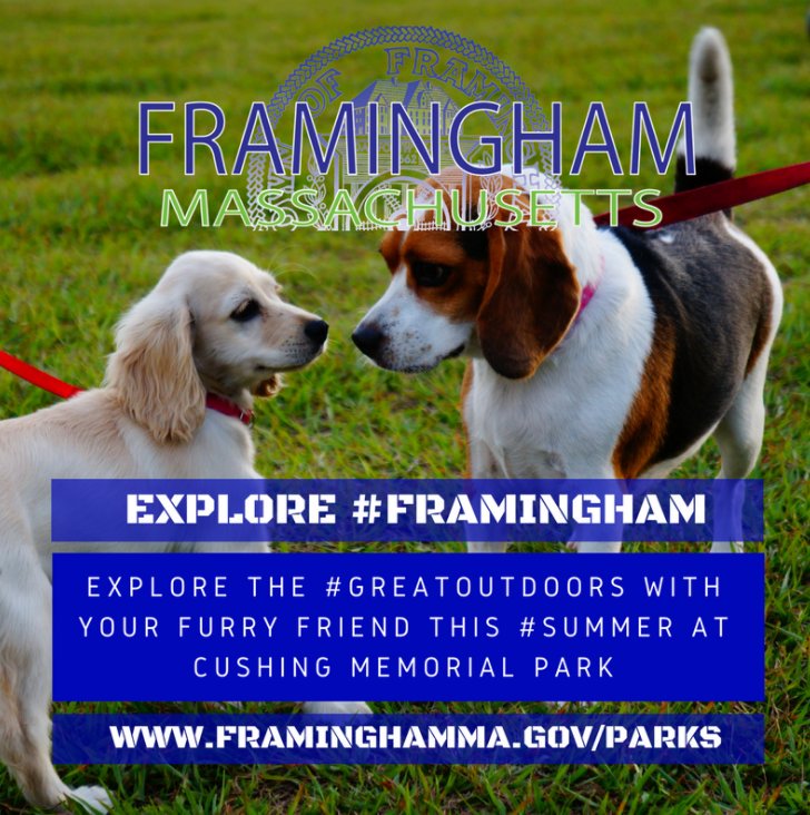 Framingham_MA's tweet photo. Explore the #GreatOutdoors with your furry friend this #summer at Cushing Memorial Park https://t.co/hCCGMckSHQ