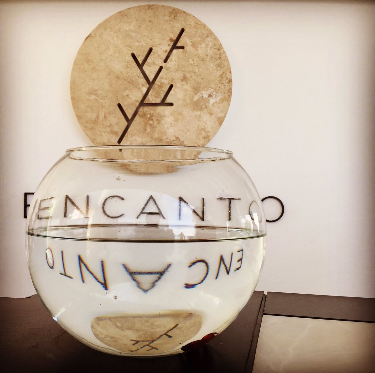 Un lugar para disfrutar