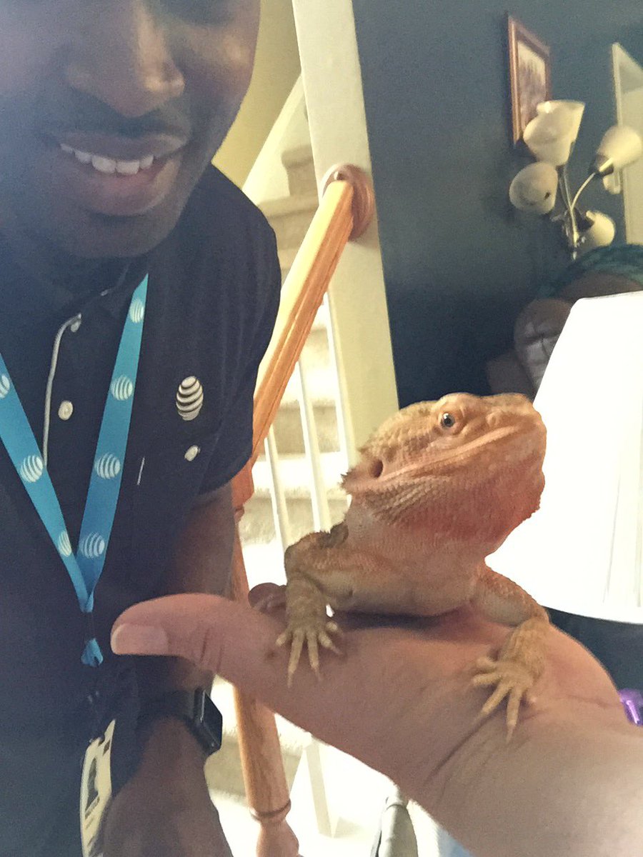 Malcolm_MaxOps's tweet photo. Introducing Bandit the bearded dragon! My new bff. #IHX #IHXceptional #helikedme #InHomeExpert https://t.co/06oYyzYiWT