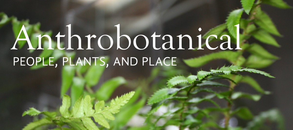 SchuylkillArt's tweet image. "In a time of extinction, how can we make more space for life?" -the #EnvironmentalPerformanceAgency is part of Anthrobotanical opening 9/7!