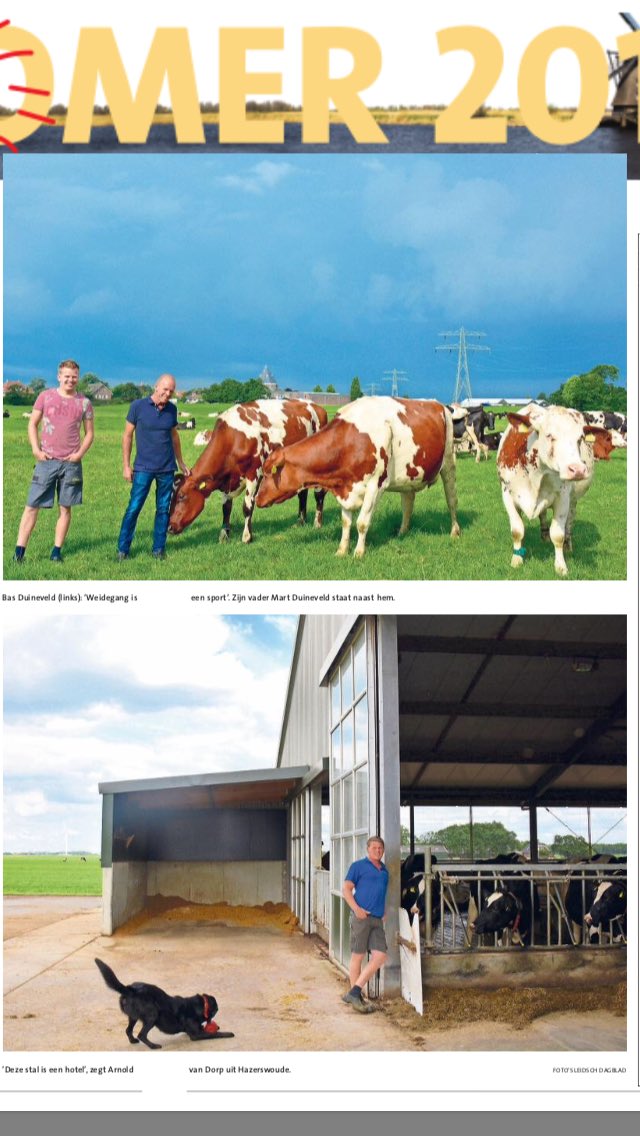 boerbewust's tweet photo. Koeien in de polder, binnen of buiten de stal?!! De ondernemer zorgt iig goed voor zijn dieren. #weidegang https://t.co/VORvQifbLk