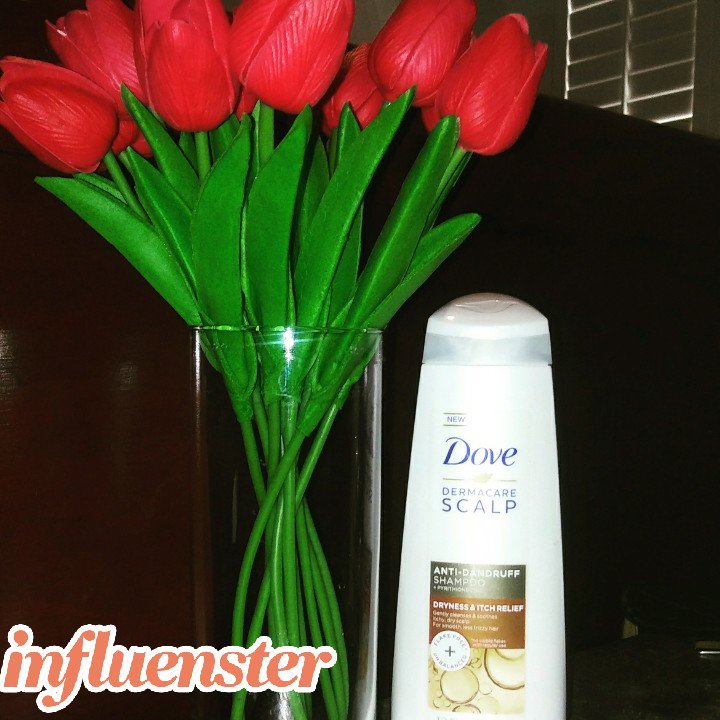 NaeNaeBoo01's tweet photo. New Free Goodies! Thanks @influenster #zerocompromisehair #complimentary https://t.co/2Z8Gnx6F9Y