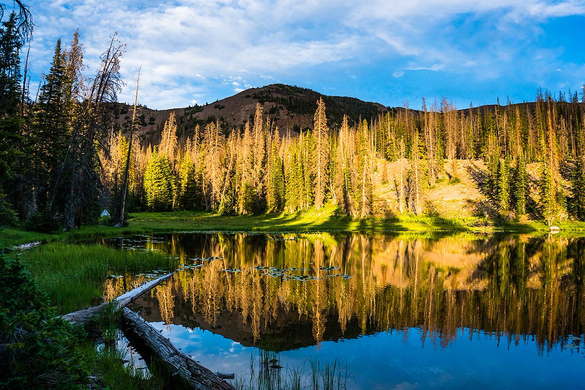 camped out at one of my favorite lake-front properties #publicLands