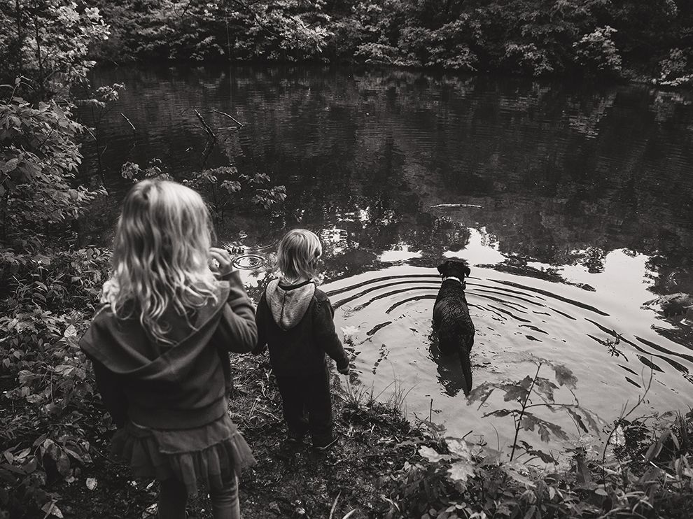 kepamer's tweet photo. Picture of children and a dog playing in a pond in Arkansas https://t.co/P9cp2mAsEC