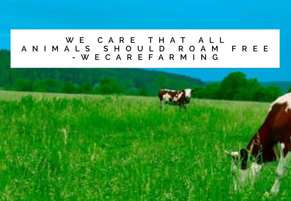 DawnMomAsYouAre's tweet photo. #WeCare that all animals should roam #free
#SustainableFarm #RespectEnvironment #Organic #PesticideFree #Sustainable #CleanEating https://t.co/5BDVvXrPsE