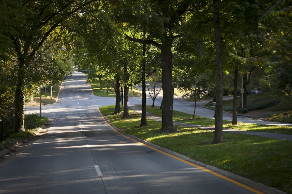 OlmstedParks502's tweet photo. Parks and greenways diminish air pollution &amp; can reduce air temps five to ten degrees. 
#FredFactFriday #Treecanopy #louisvilleky #breathe https://t.co/JkHvK4PRbu