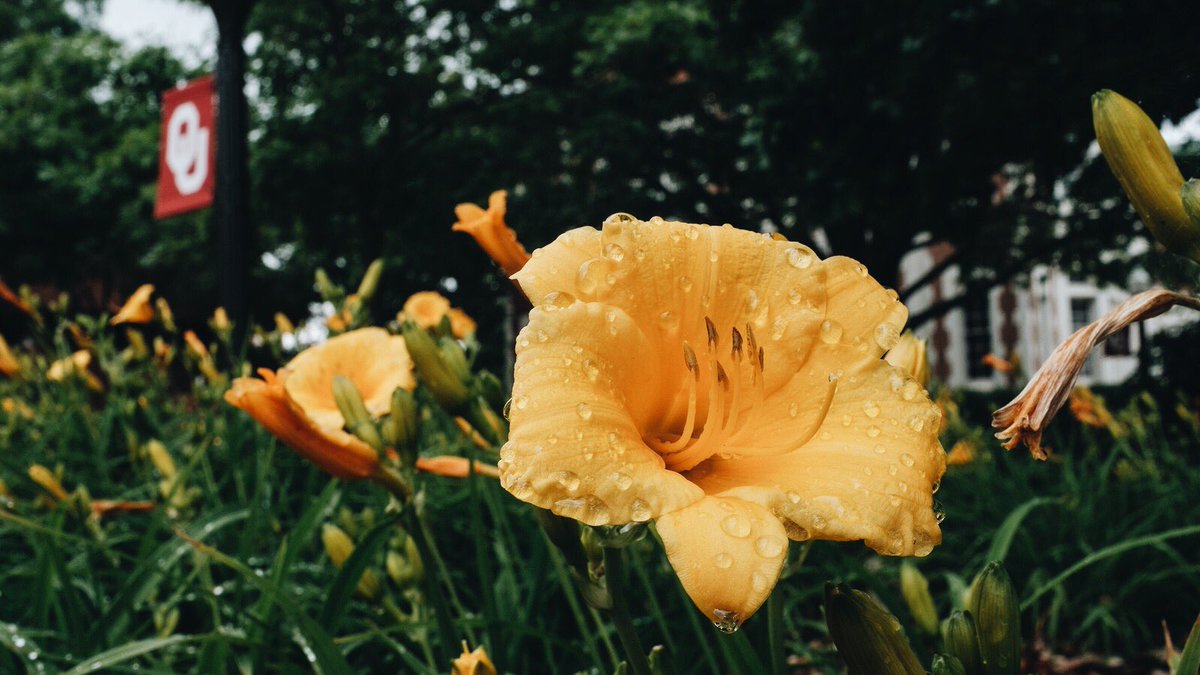 Rain or shine, have a happy weekend! You made it through the first week! 🌦🎉instagram.com/p/BYOWBpJA6B0/