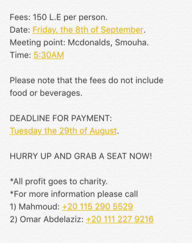 nayera_youssri's tweet photo. DM for more information✨ #Interactwest https://t.co/GFNHpxlpYc