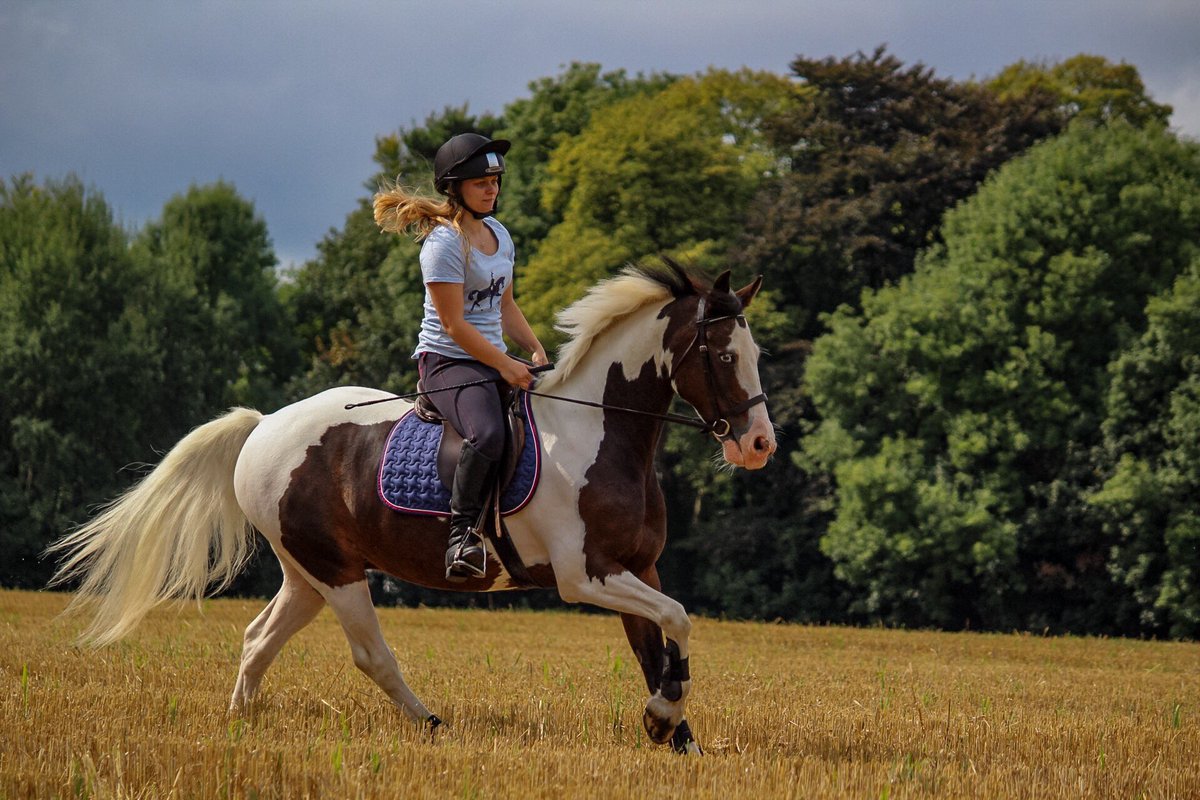 It's #tackroomfriday which only means one thing...a bit of hacking, schooling and jumping ready for a weekend competing #showjumpinghour 🐎