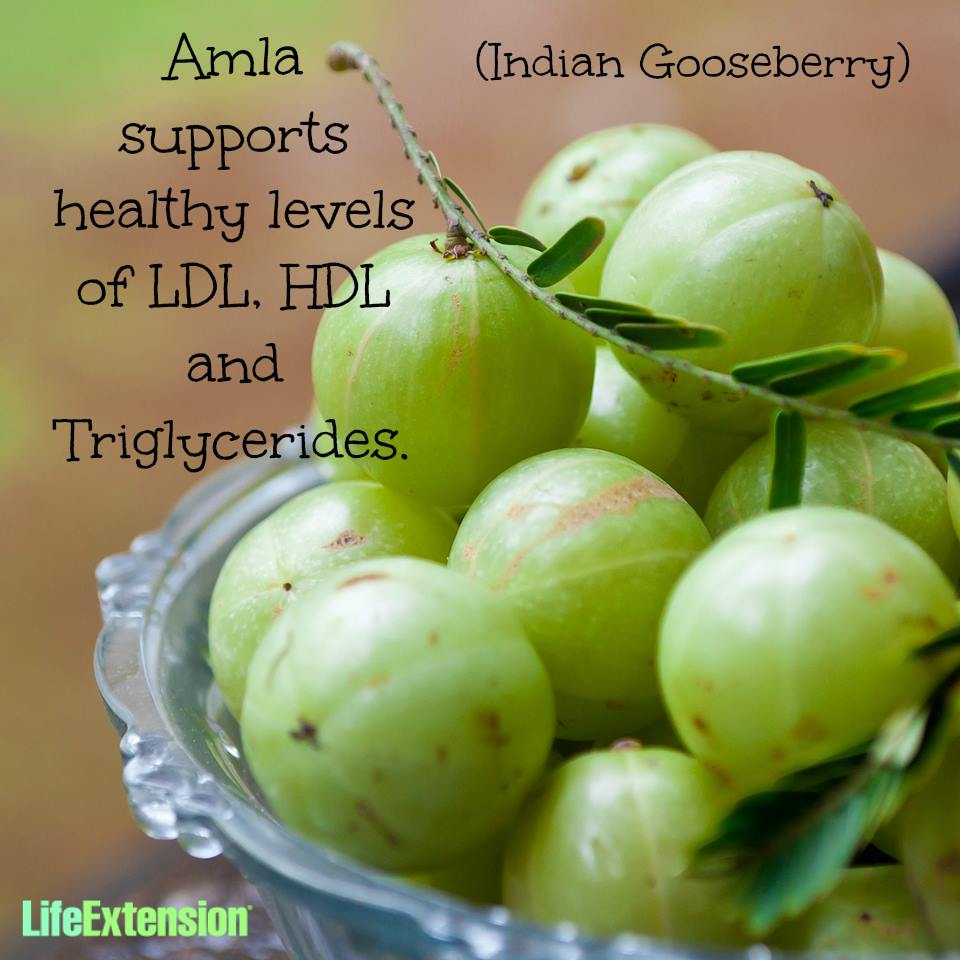 LifeExtension's tweet image. Need a little help with your cholesterol? #Ayurveda #cholesterol