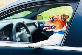 zappysautowash's tweet photo. Ride into the weekend with style by getting Zappy's Full Service Ultimate Detail... #FridayFeeling #FridayNight  
👇🏻
https://t.co/owGuZ7VPuK https://t.co/TCi0SG1VFX