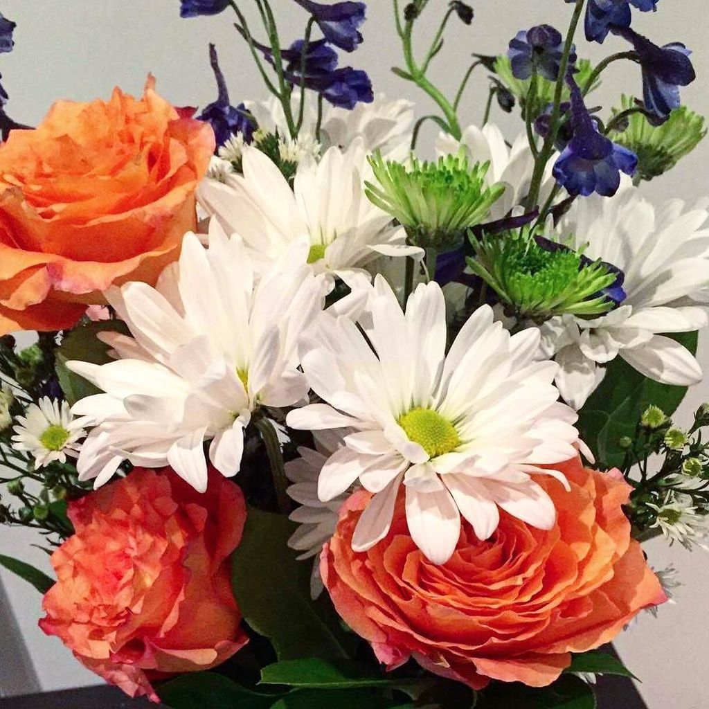 Day made by @flowerdelivery_nyc 💕💐 shocked and amazed by the beauty of these blossoms! Hit them up to put an instant smile on a face you fi…