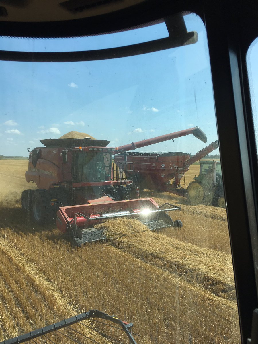 russellgrains's tweet photo. Working last field of oats #thesandhungon https://t.co/MPcy9olTZz