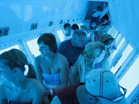 MagicCancun's tweet photo. #Tours #SubSee #Cancun
https://t.co/vT8cl3vRS3
¡Descubre las maravillas de la vida marina a bordo del Sub See y vive una experiencia unica!! https://t.co/q9R8ZC7KOP