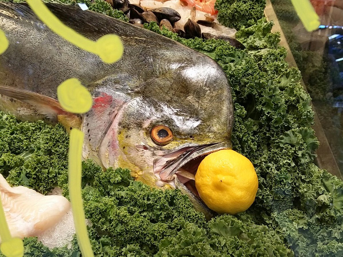 Our angry fish is back! Fresh Mahi Mahi in our seafood dept. #NorthVan #SaveOnFoods #capilano