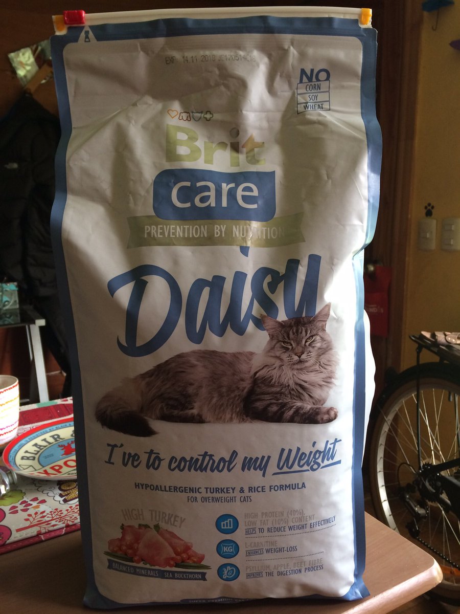 piliazgo's tweet photo. Hoy partimos con una nueva comida para Baltazar 🐱Esperamos que los cambios sean positivos 😁
#britcare #britcarefood #britcarecat #daisy https://t.co/rMLMFjycQw