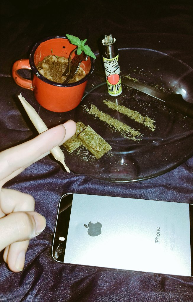 costacamila454's tweet photo. Respeita as mina🍁🌱😍❤👊
@THCbabess @cannabox @WeedLives  @UmMaconhalizado @xWeedTweetsx  @StonerCIips @lizords @joel123andrade @seumaconheiro https://t.co/rmz75wbAI4