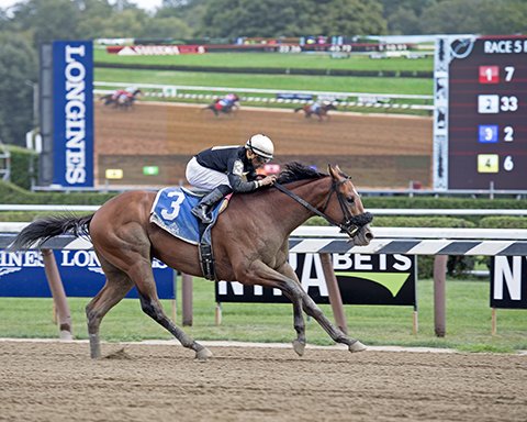 BH_AEberhardt's tweet photo. #AveenuMalcainu with Luis Saez wins #FunnyCide @TheNYRA #Saratoga @nytbreeders @SaratogaChamber @jceracing #AlGold #GoldSquare @nytbreeders https://t.co/Qb76lgw8HI