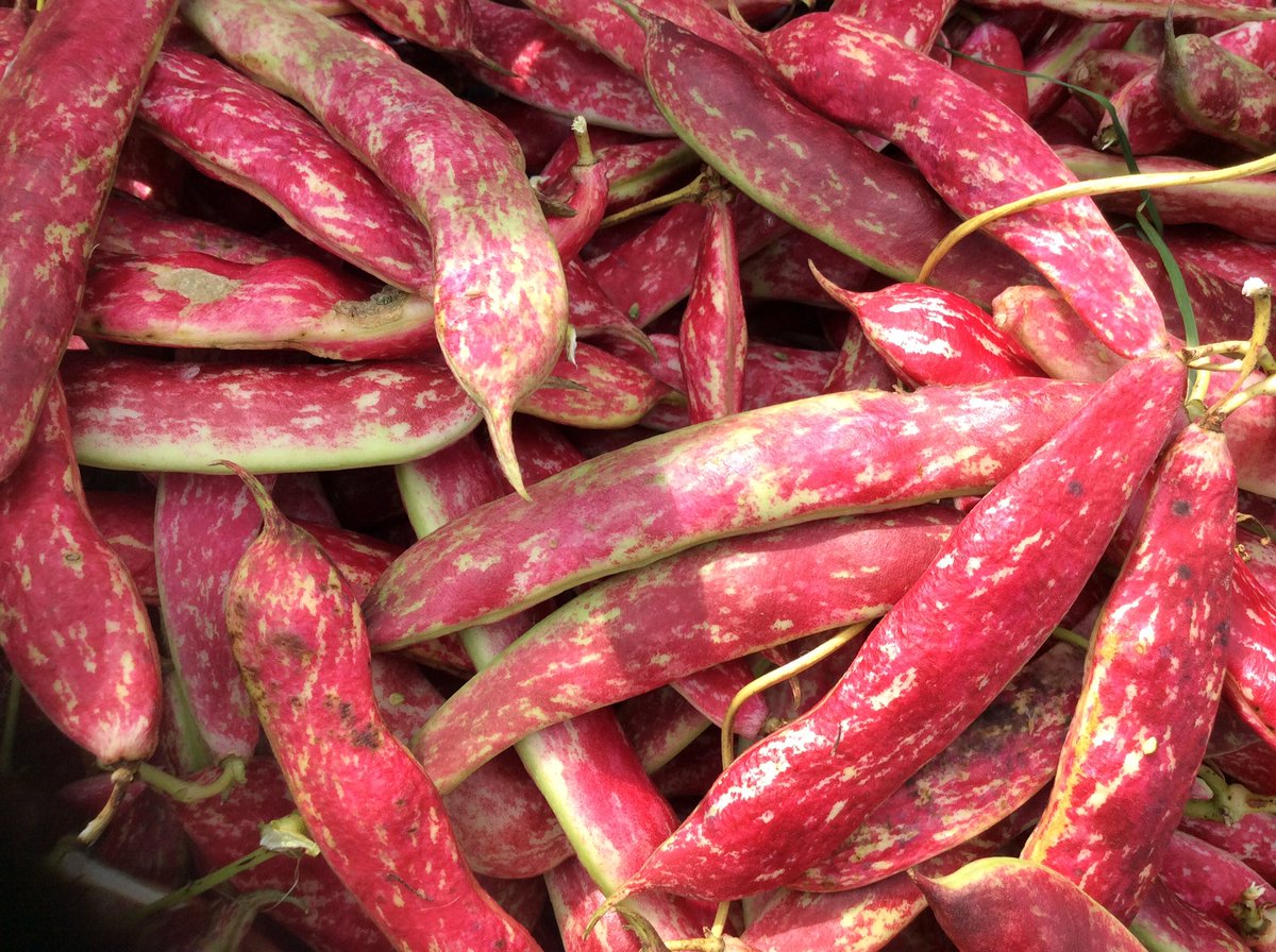 It's Bakewell farmers market tomorrow ! See you there <a href="/derbyshiredales/">Derbyshire Dales DC</a> <a href="/NewCloseFarm/">Ginger Butchers</a> #freshveg#farmersmarket #derbyshire