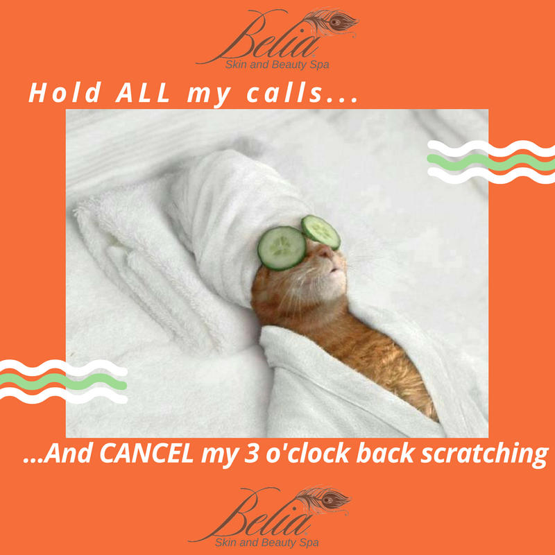 BeliaLasVegas's tweet image. This is how important a facial is for you skin! 😜 Happy Friday everyone!