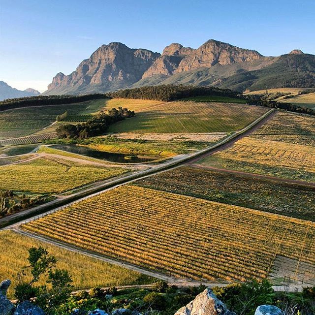 SommSergio56's tweet photo. Reposting @winedestinations:
#SouthAfrica #Simonberg 
Pic cred to @babylonstoren via @redwolfimports.  #WineDestinations https://t.co/aKmCjYYHDl