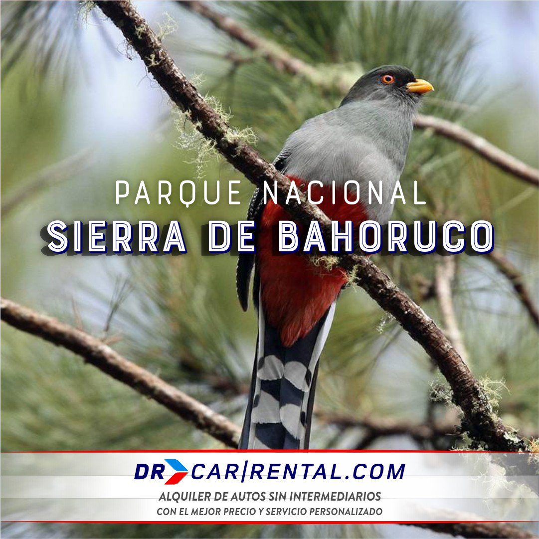 drcarrental's tweet photo. Parque Nacional Sierra de Bahoruco. constituye uno de los lugares más interesantes desde el punto de vista del turismo ecológico. https://t.co/UkvkcGKjtm