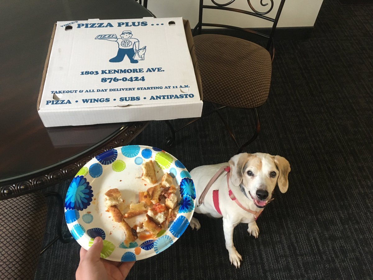 BisonElectric's tweet photo. Thank you Vinny's Pizza for dropping a complementary pizza off to our happy #BisonBeagle The office loved it and so did she #DizzyDog https://t.co/dKTpzkU17M