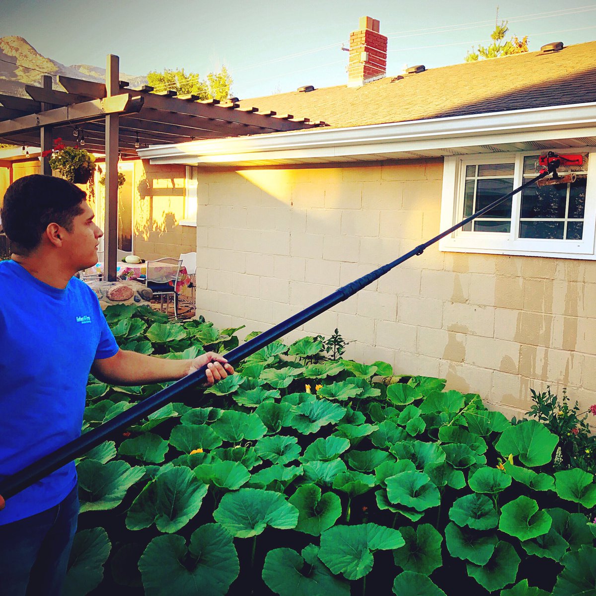 Reflectotron's tweet photo. No need to stomp thru these plants; the water fed pole keeps your garden pristine and gets your windows sparkling! #waterfedpole #alpineutah https://t.co/rfoOKvPK2j