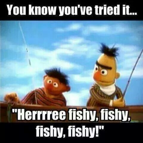 This is not the proper way to go fishing this weekend.
Try using #live #bait and keep alive in goo.gl/jKuCtz