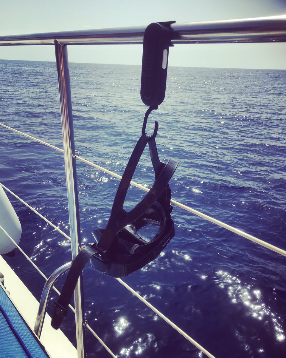 dink_it's tweet photo. Where will you use yours? #scuba https://t.co/kqt0YFQebQ
