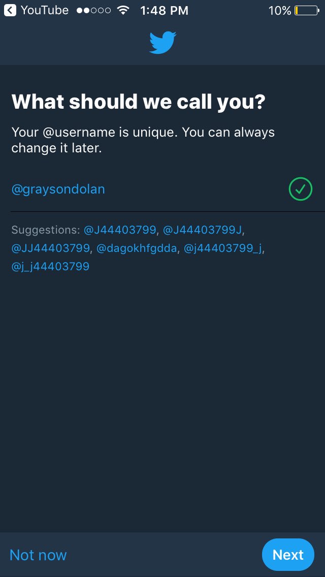 alina tweet media