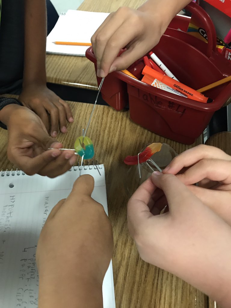 agoldberg_DP's tweet photo. STEM Challenge: Save Fred-Teamwork & Sci Method @DelPradoElem #panthersconnect https://t.co/yrUQBLAQdk