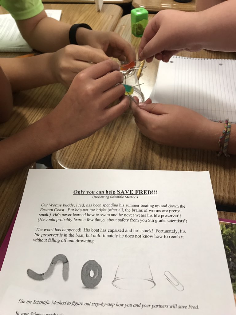 agoldberg_DP's tweet photo. STEM Challenge: Save Fred-Teamwork & Sci Method @DelPradoElem #panthersconnect https://t.co/yrUQBLAQdk