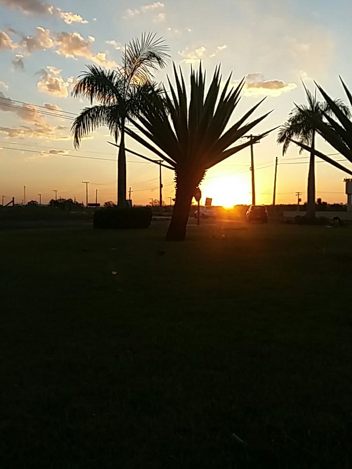 Tarde maravilhosa