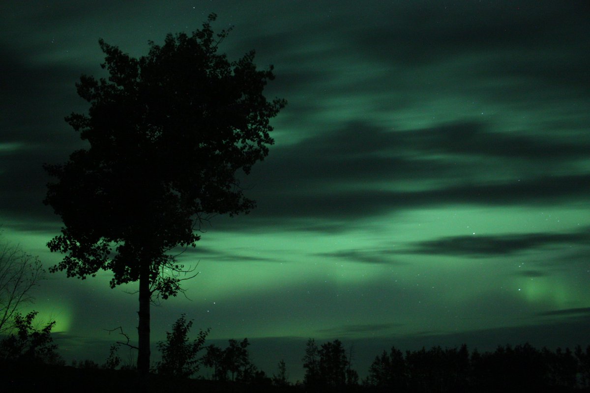 ShaynaHamilton4's tweet photo. Here's another Northern Lights appreciation post #aurora #ExploreSask #AWAHphotography https://t.co/4oTMGOTWdU