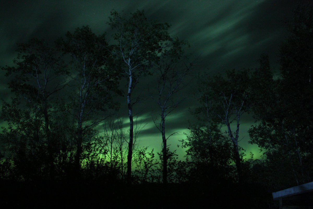 ShaynaHamilton4's tweet photo. Here's another Northern Lights appreciation post #aurora #ExploreSask #AWAHphotography https://t.co/4oTMGOTWdU