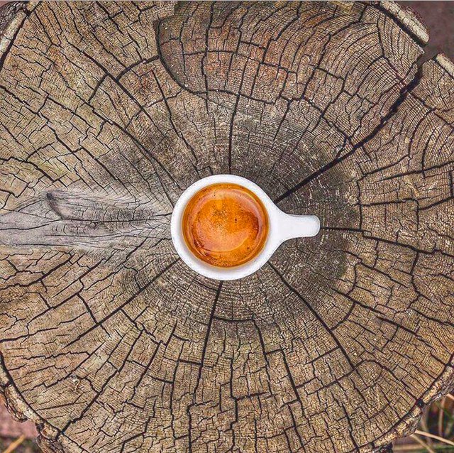 LiteratiCafe's tweet photo. Make the most of your weekend!  #TGIF #coffeelovers #organicbrew #weekendvibes https://t.co/HSsh92UTyp
