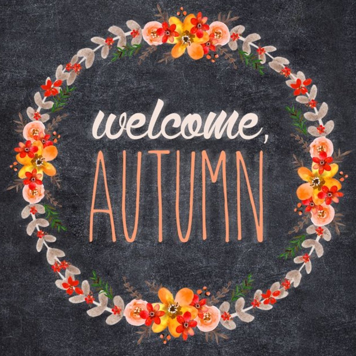 northdowncraft's tweet photo. Welcome Autumn...#septembermarket @HolywoodOldScho Sat 9th 10am-4pm #ndcraftcollective #supportinghereiam @HolywoodHighSt @HolywoodChamber https://t.co/AhwhWNl6US