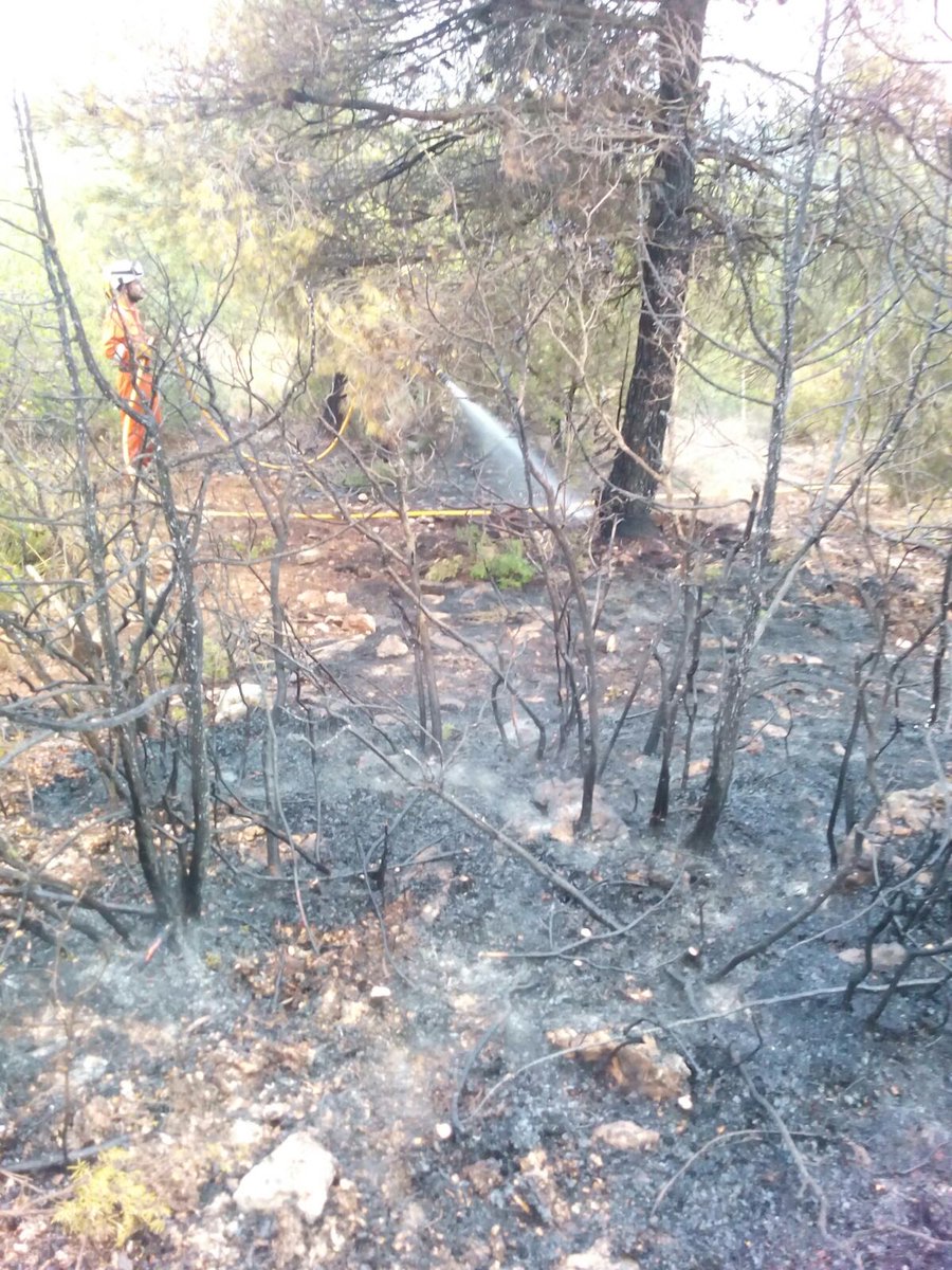 gprontoauxilio's tweet photo. 2/2) #BombersForestalsGV Ayora y Cortes,  Celador de la Hunde.  Especial mención a mienbros de la A. Cazadores de Ayora por atajar un conato https://t.co/9rcrY4y0TK
