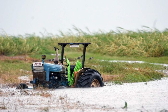 abclandline's tweet image. How falling vegetable prices is causing more pain for cyclone-affected growers | Story form @CWilsonQLD
ab.co/2vodYjX (Pic: AAP)