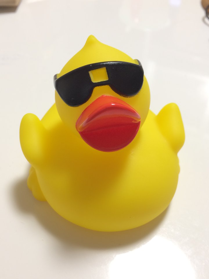 uyros's tweet image. 送り主不明の届いたアヒル。