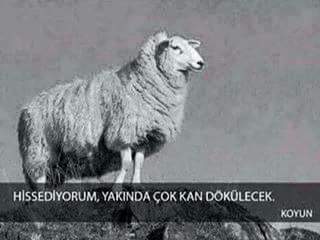 Evet hemde çok