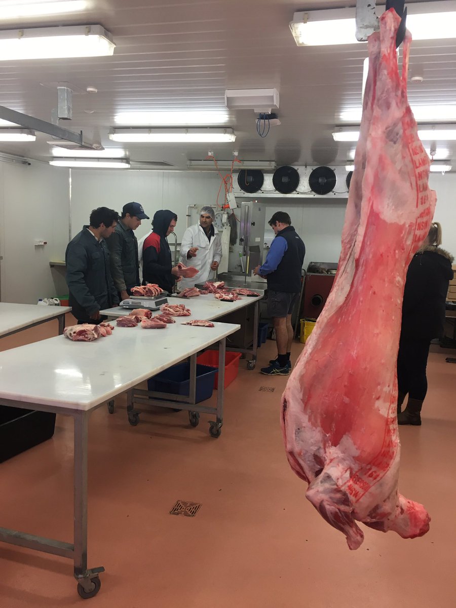 kelly_gorter's tweet photo. Comparing yields between a lean and a fat lamb @ERS_UNE at our Meat Tech intensive school. Results to come. #youthinag #meattechnology https://t.co/1Dbr1T0GiO