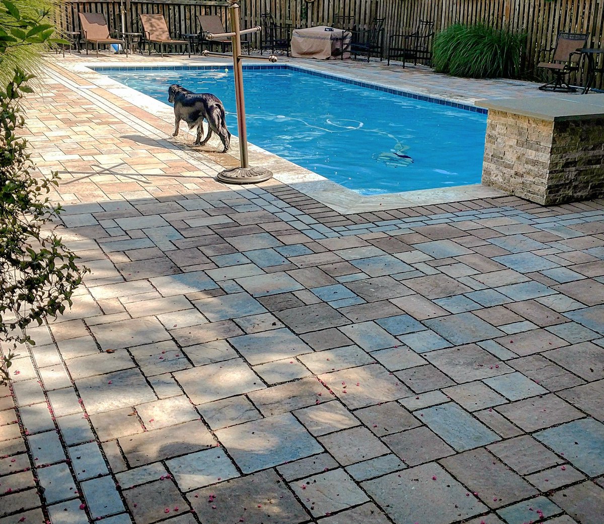techotaphouse's tweet photo. #Permeable pool by a #TechoPro using #TechoBloc #MistaRandom + #MistaSquare w/ #VictorienPermeable borders
#SaveTheBay 🦀 #WhyIHardscape 👏 https://t.co/WgVQAVuxEJ