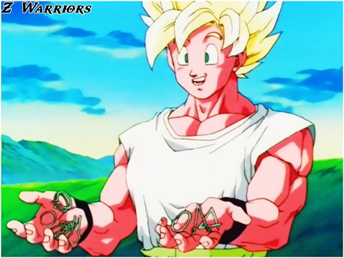 -¡Lo logre!... ¡Ahora, las esferas del dragón son mías!