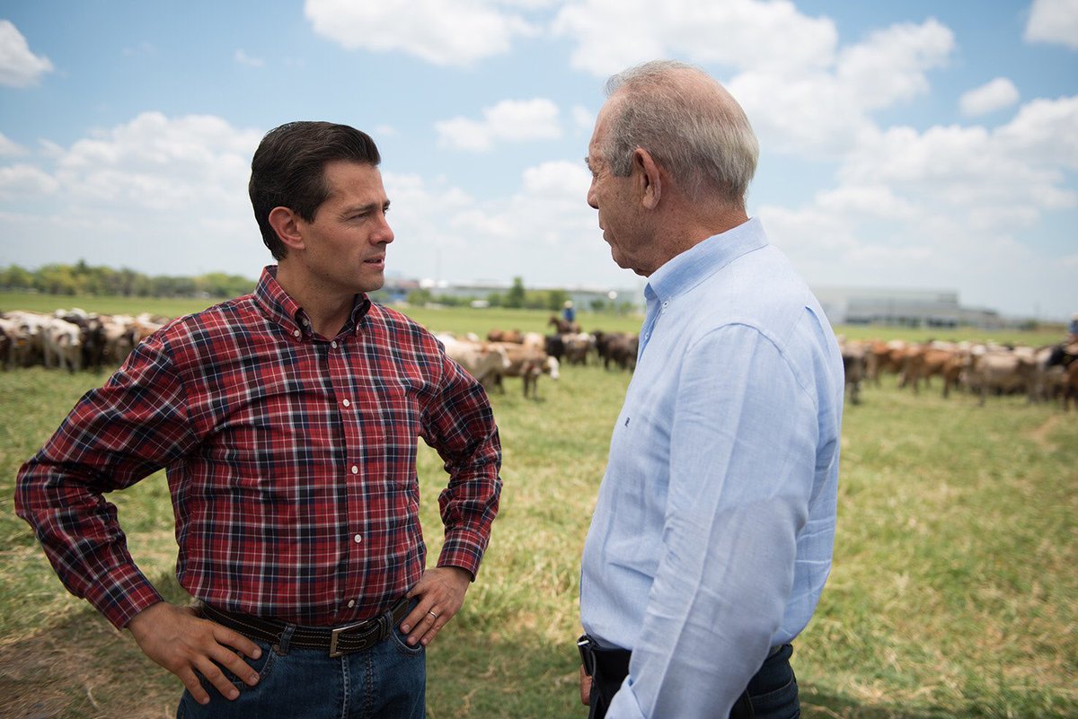 Enrique Peña Nieto tweet media