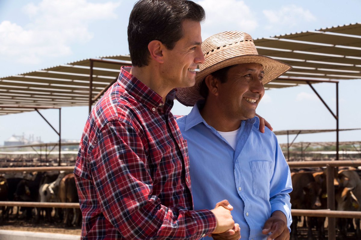 Enrique Peña Nieto tweet media